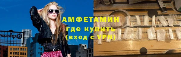 индика Каменногорск