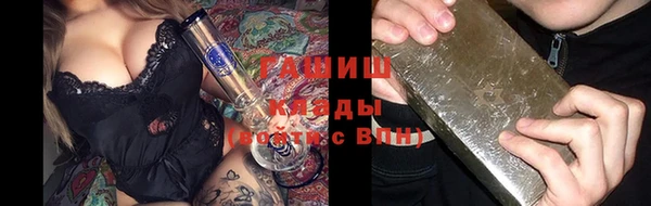 индика Каменногорск
