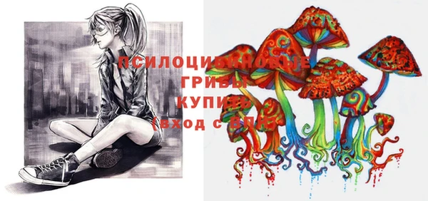 не бодяженный Карпинск
