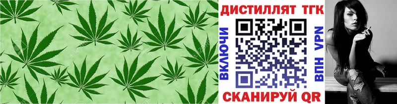 Купить закладки  Ковдор  ТГК жижа 
