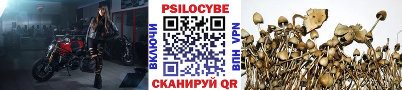 Галлюциногенные грибы прущие грибы  Купить закладки  Ковдор 